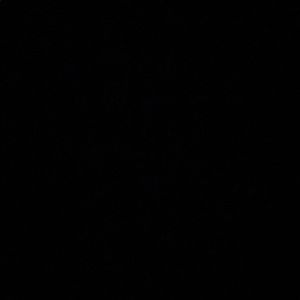 Meet your Posher, Dylan